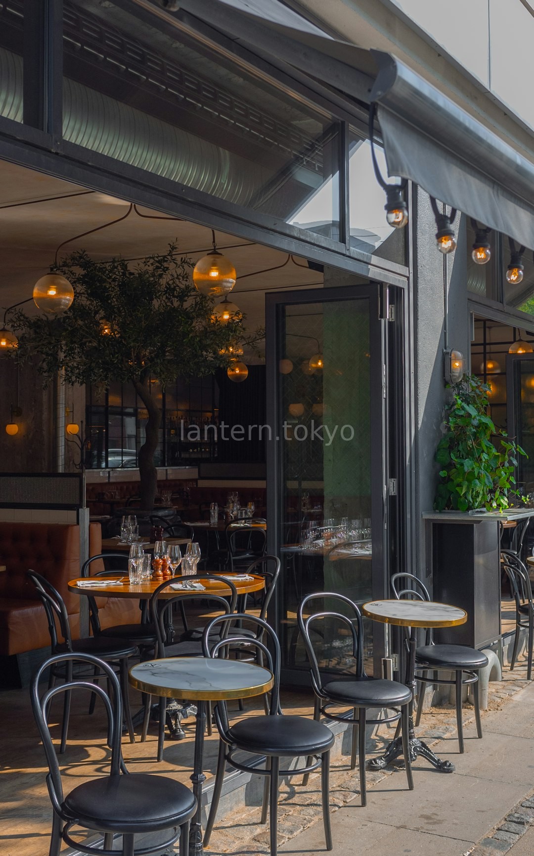 Cafe Interior